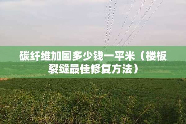 碳纤维加固多少钱一平米（楼板裂缝最佳修复方法）