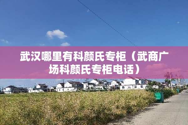 武汉哪里有科颜氏专柜（武商广场科颜氏专柜电话）