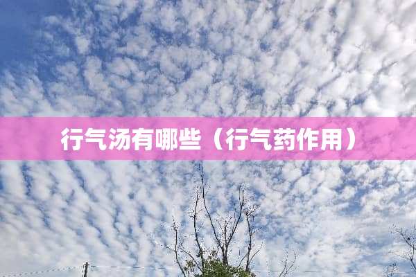 行气汤有哪些（行气药作用）