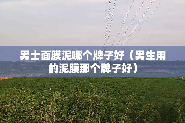 男士面膜泥哪个牌子好（男生用的泥膜那个牌子好）