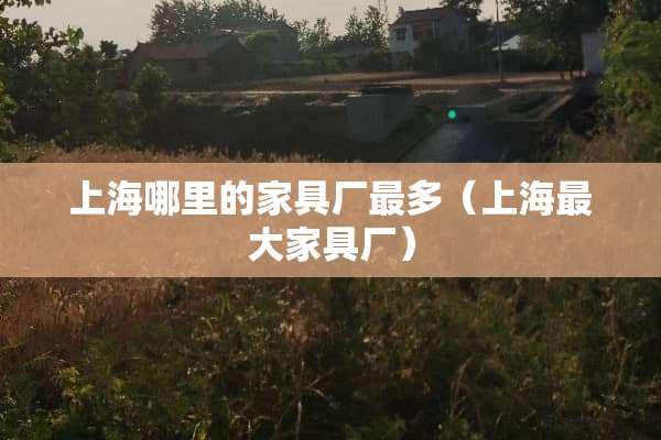 上海哪里的家具厂最多（上海最大家具厂）