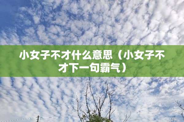 小女子不才什么意思（小女子不才下一句霸气）