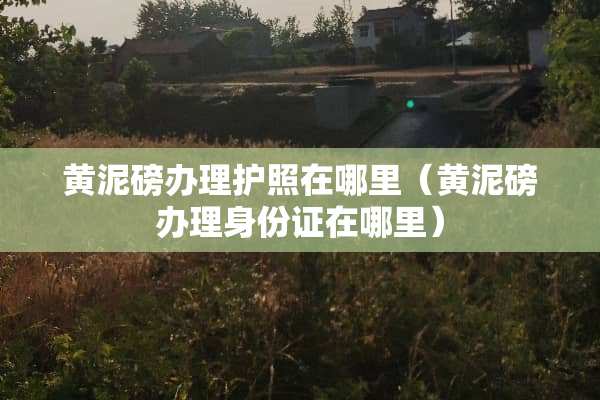 黄泥磅办理护照在哪里（黄泥磅办理***在哪里）