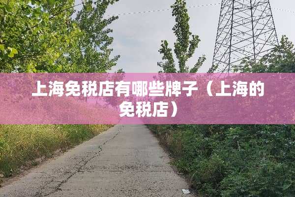 上海免税店有哪些牌子（上海的免税店）
