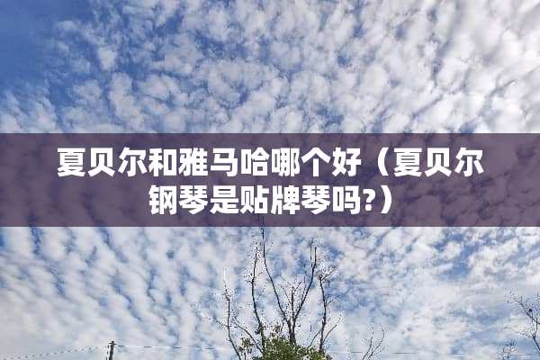 夏贝尔和***哪个好（夏贝尔钢琴是贴牌琴吗?）