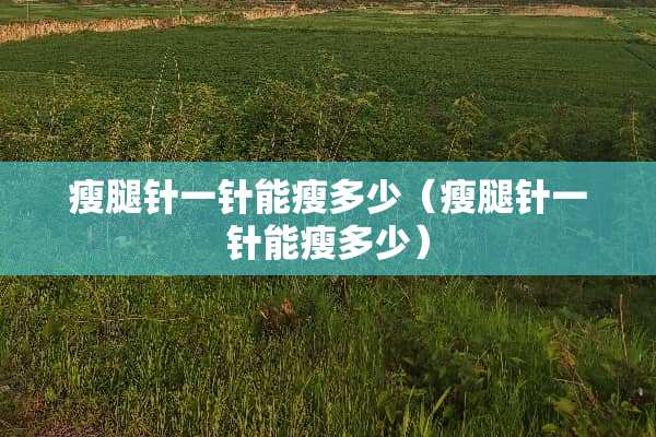 瘦腿针一针能瘦多少（瘦腿针一针能瘦多少）