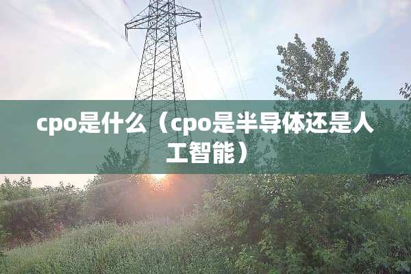 cpo是什么（cpo是半导体还是人工智能）