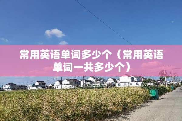常用英语单词多少个（常用英语单词一共多少个）