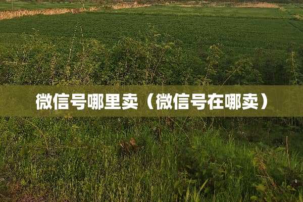 微信号哪里卖（微信号在哪卖）