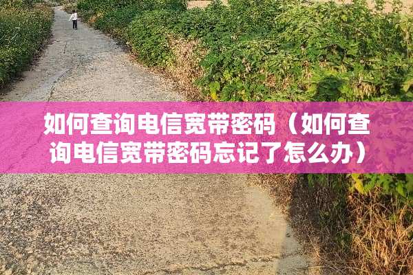 如何查询电信宽带密码（如何查询电信宽带密码忘记了怎么办）