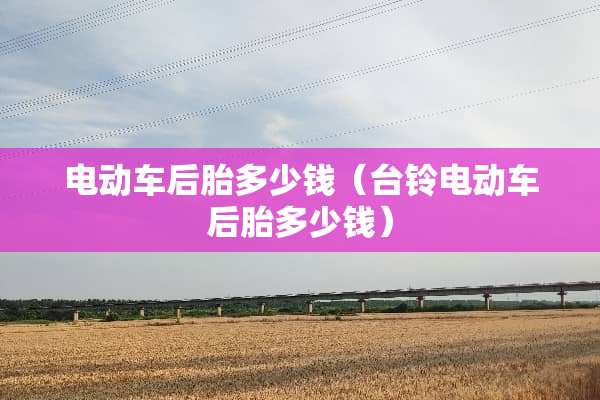 电动车后胎多少钱（台铃电动车后胎多少钱）