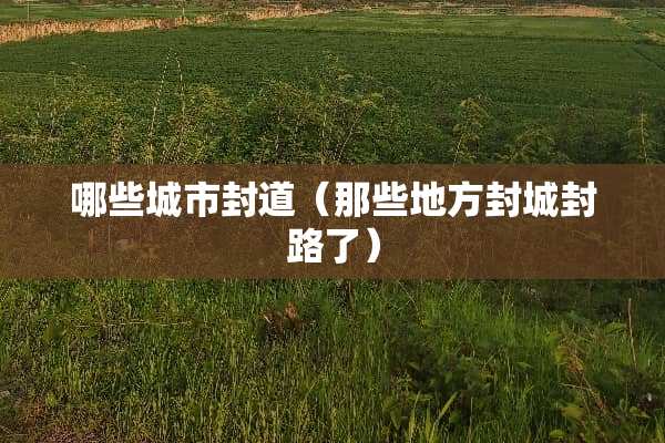 哪些城市封道（那些地方封城封路了）
