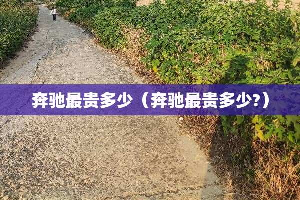 奔驰最贵多少（奔驰最贵多少?）