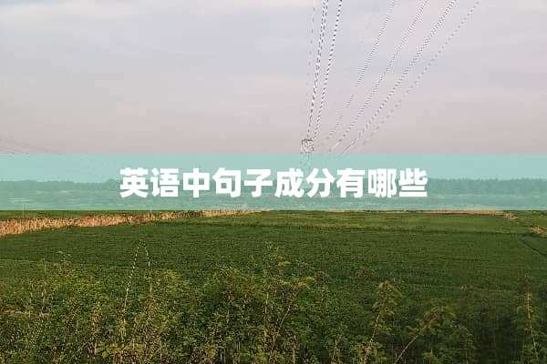英语中句子成分有哪些