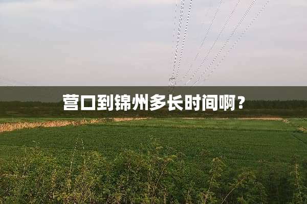 营口到锦州多长时间啊？