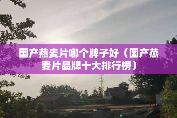 国产燕麦片哪个牌子好（国产燕麦片品牌十大排行榜）