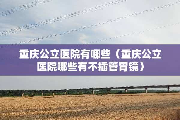 重庆公立医院有哪些（重庆公立医院哪些有不插管胃镜）