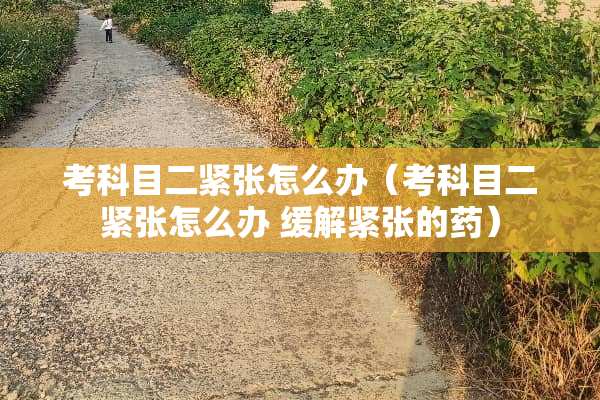 考科目二紧张怎么办（考科目二紧张怎么办 缓解紧张的药）