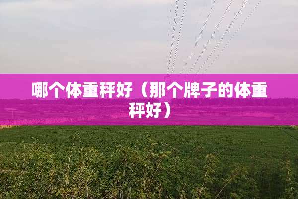 哪个体重秤好（那个牌子的体重秤好）
