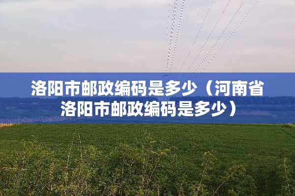 洛阳市邮政编码是多少（河南省洛阳市邮政编码是多少）