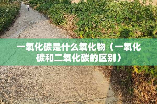 一**碳是什么**物（一**碳和二**碳的区别）