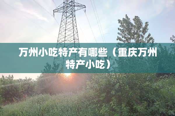 万州小吃特产有哪些（重庆万州特产小吃）