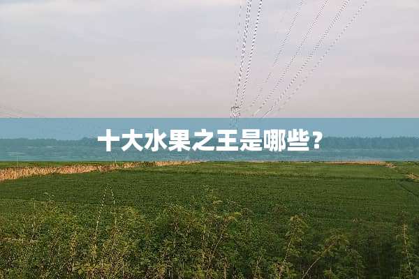 十大水果之王是哪些？