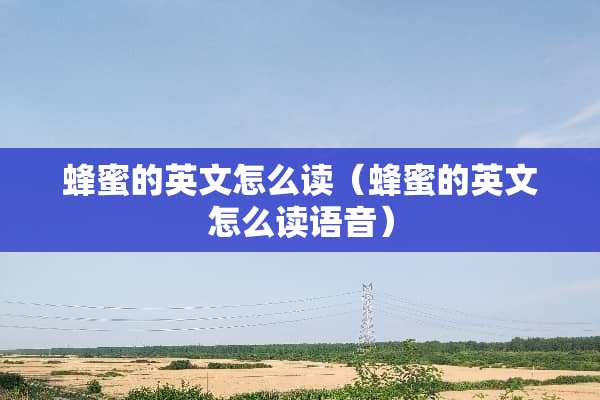 蜂蜜的英文怎么读（蜂蜜的英文怎么读语音）