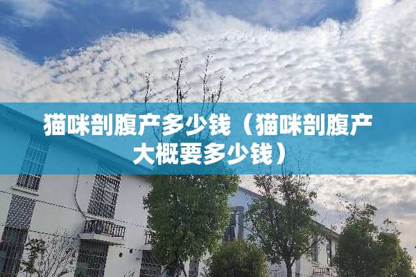 猫咪剖腹产多少钱（猫咪剖腹产大概要多少钱）