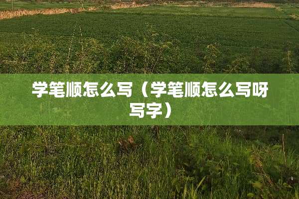 学笔顺怎么写（学笔顺怎么写呀写字）