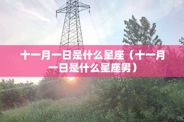 十一月一日是什么星座（十一月一日是什么星座男）