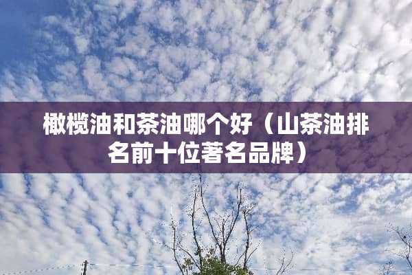 橄榄油和茶油哪个好（山茶油排名前十位著名品牌）