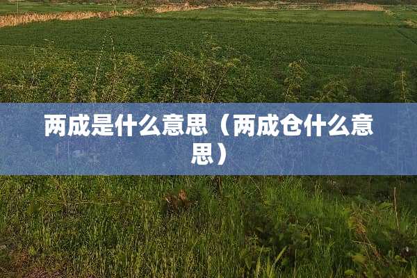 两成是什么意思（两成仓什么意思）