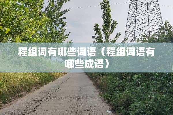 程组词有哪些词语（程组词语有哪些成语）