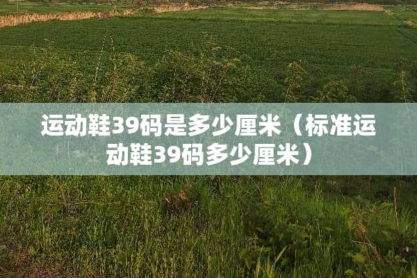 运动鞋39码是多少厘米（标准运动鞋39码多少厘米）