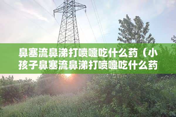 鼻塞流鼻涕打喷嚏吃什么药（小孩子鼻塞流鼻涕打喷嚏吃什么药）