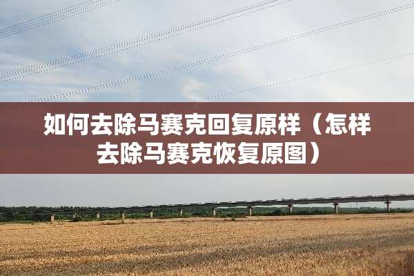 如何去除马赛克回复原样（怎样去除马赛克恢复原图）