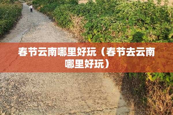 春节云南哪里好玩（春节去云南哪里好玩）