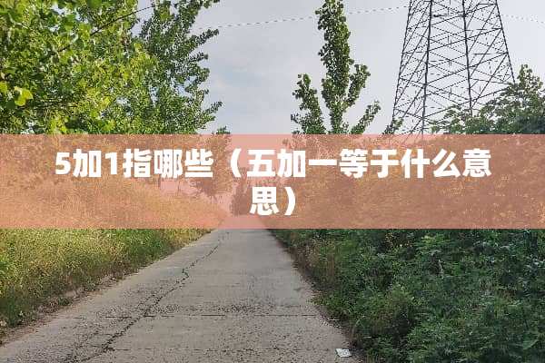 5加1指哪些（五加一等于什么意思）