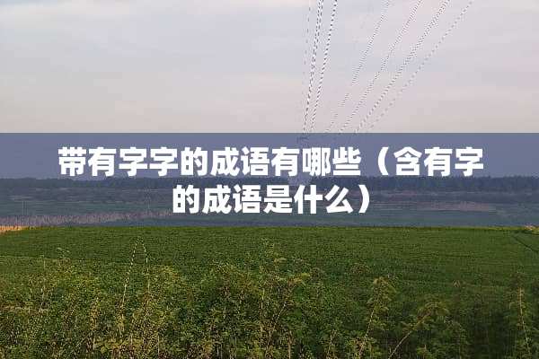 带有字字的成语有哪些（含有字的成语是什么）