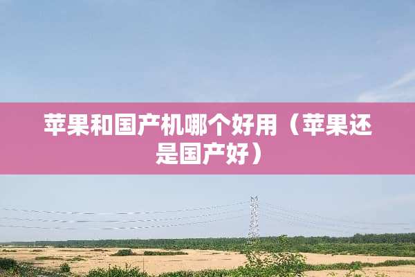 苹果和国产机哪个好用（苹果还是国产好）