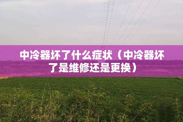 中冷器坏了什么症状（中冷器坏了是维修还是更换）