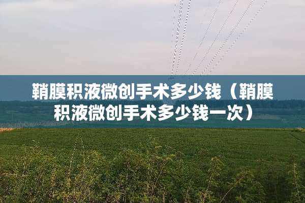 鞘膜积液微创手术多少钱（鞘膜积液微创手术多少钱一次）