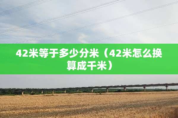 42米等于多少分米（42米怎么换算成千米）