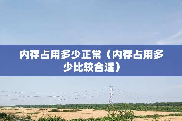 内存占用多少正常（内存占用多少比较合适）