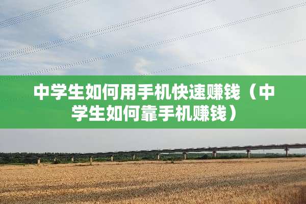 中学生如何用手机快速赚钱（中学生如何靠手机赚钱）