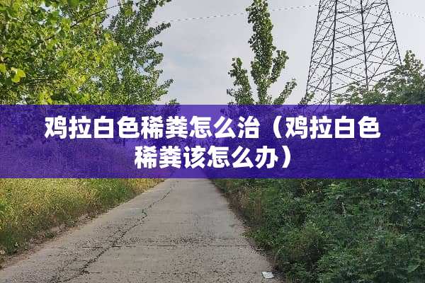 鸡拉白色稀粪怎么治（鸡拉白色稀粪该怎么办）