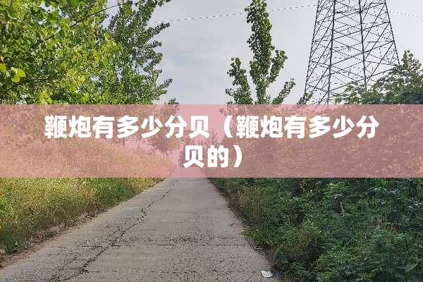鞭*有多少分贝（鞭*有多少分贝的）