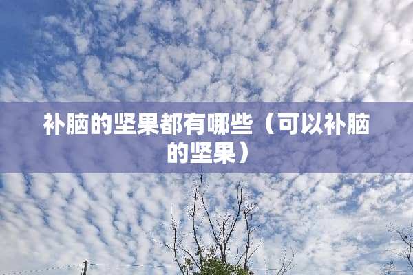 补脑的坚果都有哪些（可以补脑的坚果）