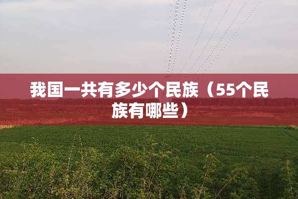我国一共有多少个民族（55个民族有哪些）